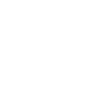 icono-150x150